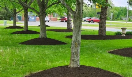 Property Cleanout Services